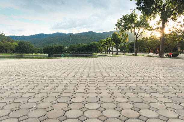 Best Concrete Paver Driveway  in Wills Point, TX