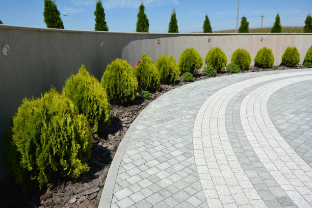 Best Brick Driveway Pavers  in Wills Point, TX