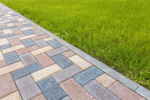 Best Custom Driveway Pavers  in Wills Point, TX
