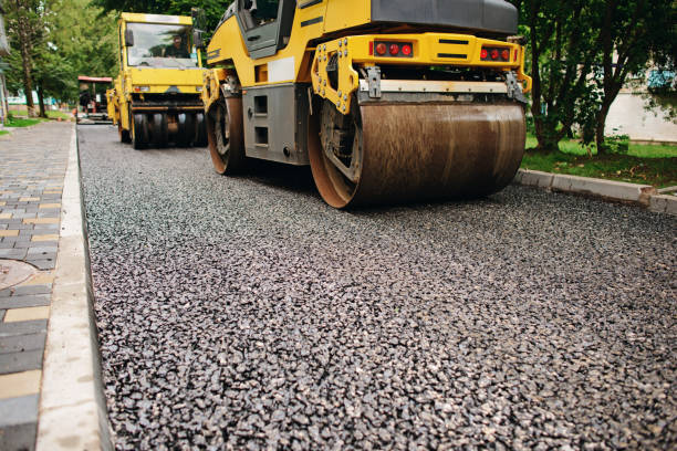 Best Professional Driveway Pavers  in Wills Point, TX